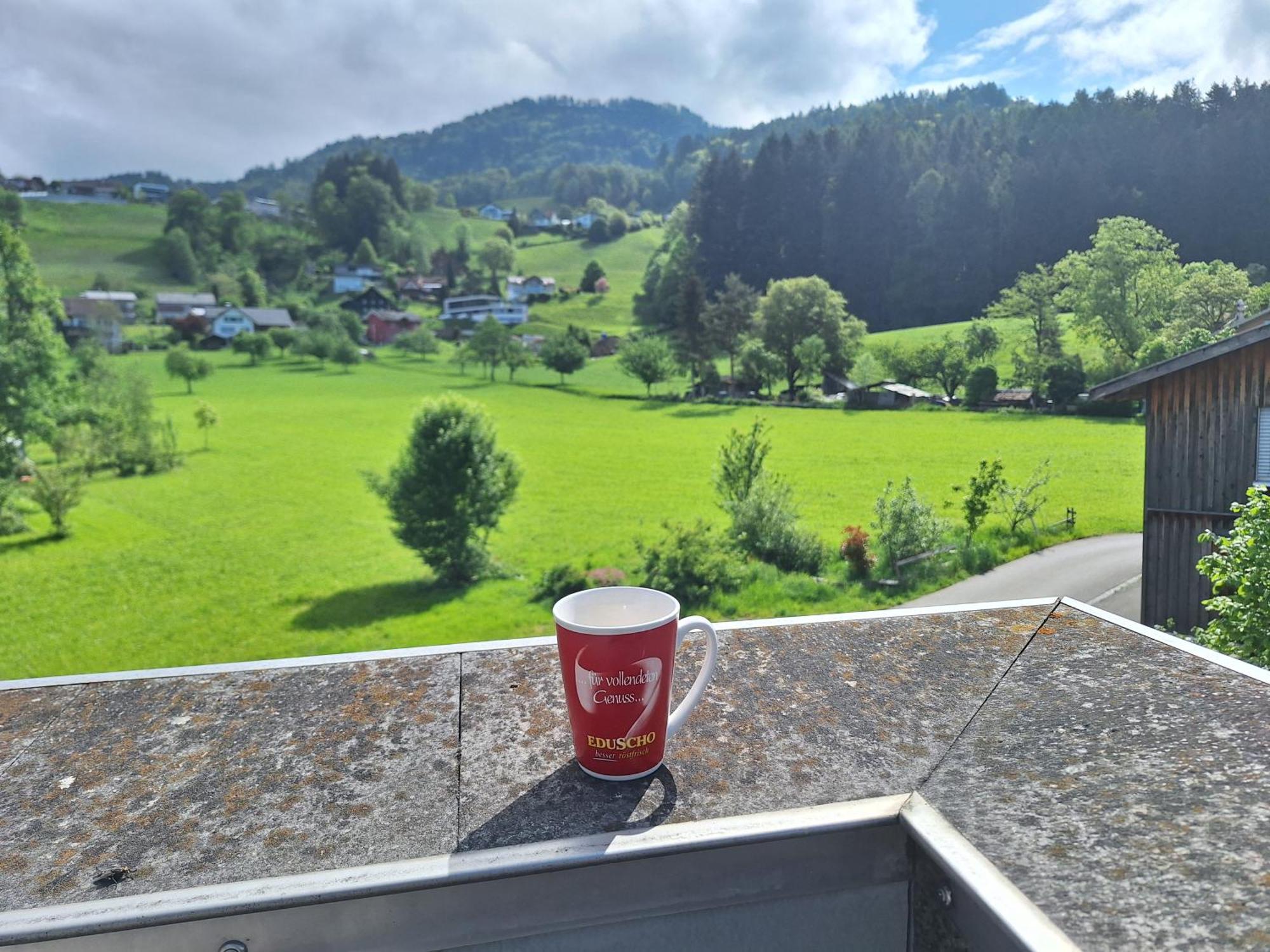 Apartment Rheintal Im Alpenvorland Batschuns Exterior photo